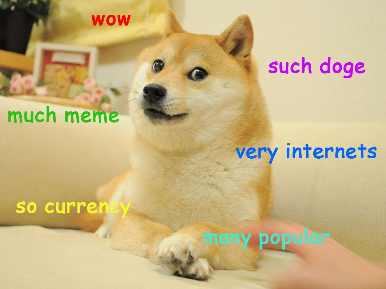 Doge. Obv.